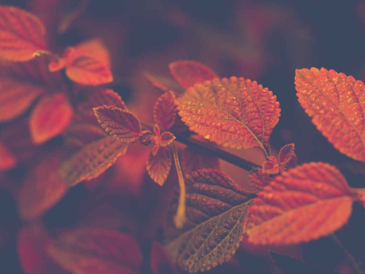 Die Reise ins&nbsp;Dunkel